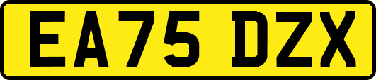 EA75DZX