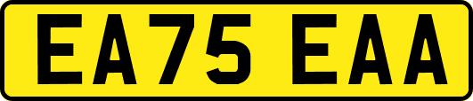 EA75EAA