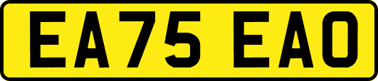 EA75EAO
