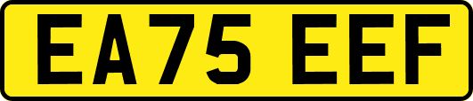EA75EEF