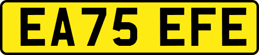 EA75EFE