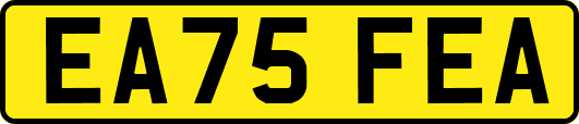 EA75FEA