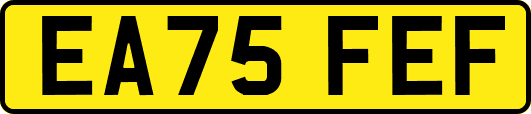 EA75FEF