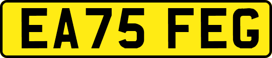 EA75FEG