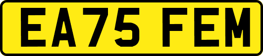 EA75FEM