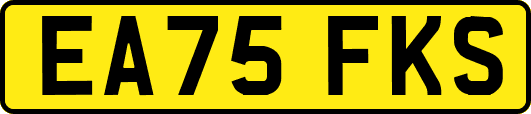 EA75FKS