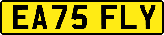 EA75FLY