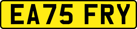EA75FRY