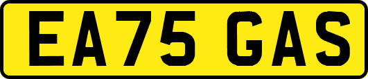 EA75GAS