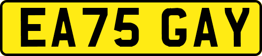 EA75GAY