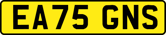 EA75GNS