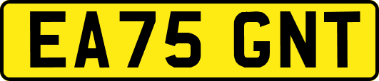 EA75GNT