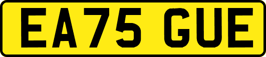 EA75GUE