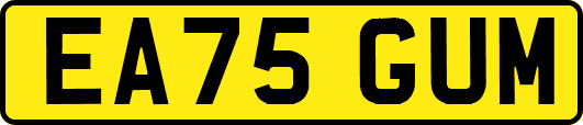 EA75GUM