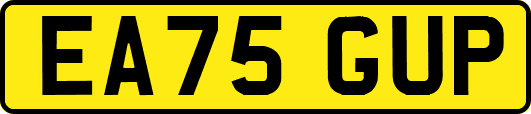 EA75GUP