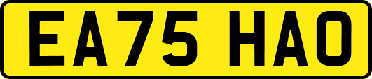 EA75HAO