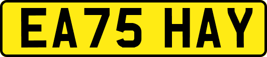 EA75HAY