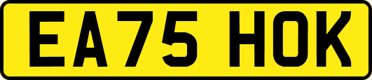 EA75HOK