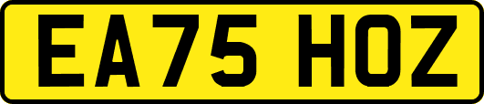 EA75HOZ