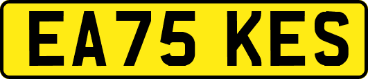 EA75KES
