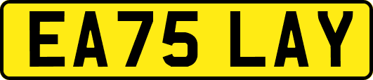 EA75LAY