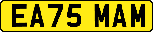 EA75MAM