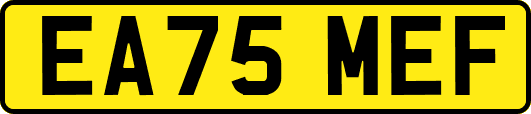 EA75MEF