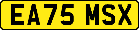 EA75MSX