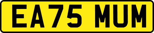 EA75MUM