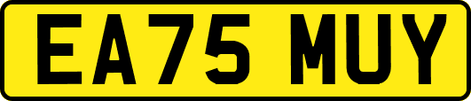 EA75MUY