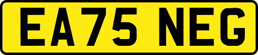 EA75NEG