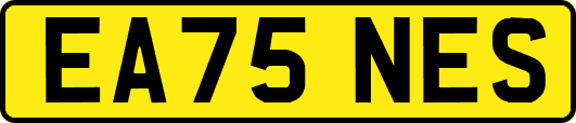 EA75NES