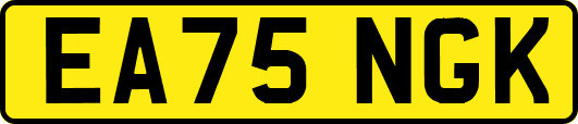 EA75NGK