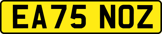 EA75NOZ