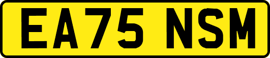 EA75NSM