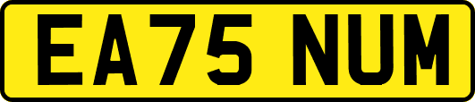 EA75NUM