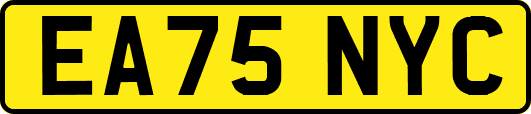 EA75NYC