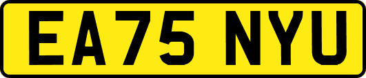 EA75NYU