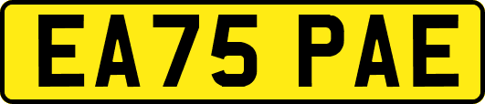 EA75PAE