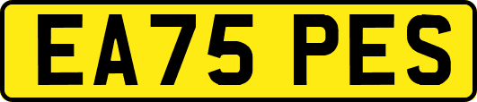 EA75PES