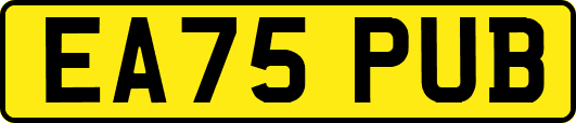 EA75PUB