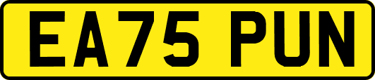 EA75PUN