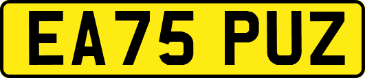 EA75PUZ