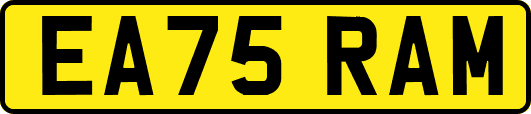 EA75RAM