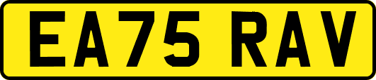 EA75RAV