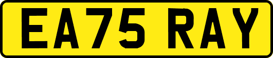 EA75RAY