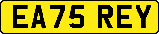 EA75REY