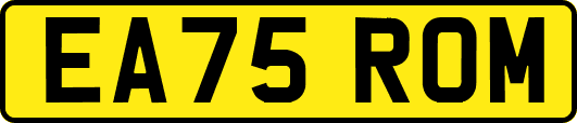 EA75ROM