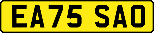 EA75SAO