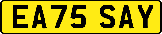 EA75SAY